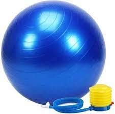 Heria Yoga Ball- Anti Burst 65 cm Exercise Ball with Inflation Pump, Non-Slip Gym Ball, for Yoga, Pilates, Core Training Exercises at Home and Gym- [Multi Color As Per Available]. (B08PQMM8Y2) Amazon Price History, Amazon Price Tracker