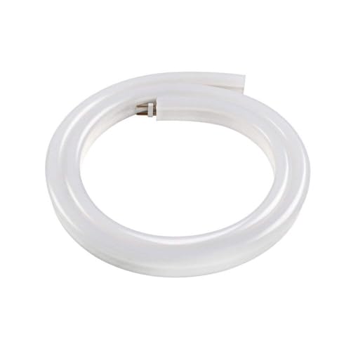 Néon flexible LED 12V blanc à haute luminosité et étanche pour décoration moderne