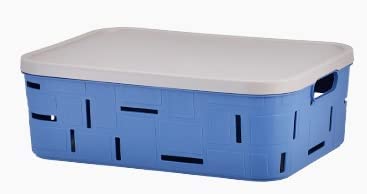 TRADY Multipurpose Solitaire Storage Basket with Lid|Strong Plastic Material & Side Grip|Size Small