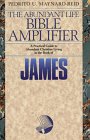 James: True Religion in Suffering (The Abundant Life Bible Amplifier) 0816313806 Book Cover