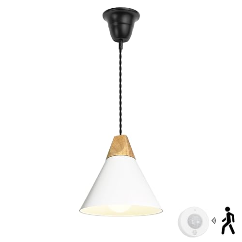 Kiven ^ lZT[ ZT[XCb` |V[OCg Jo[t Hsv L gC QΉ ݂艺Ɩ   VvfUC E26Ή dʔ a22cmVF[h zCg