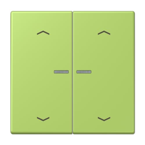 Touche JUNG HOME volet roulant LC32052 pour mécanisme biphasé
