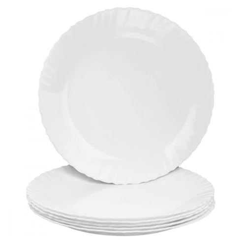 🌿 Sostenibilità e Stile: Realizzati in vetro opaco, i piatti sono perfetti per chi cerca un'opzione durevole e rispettosa dell'ambiente. Usali per servire antipasti, portate principali o dessert, e stupisci i tuoi ospiti con la loro bellezza senza tempo