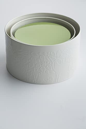 Mason Cash | Conjunto de 3 latas de bolo na floresta