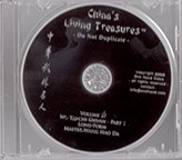 Pao Chui-Cannon Fist Chen Taiji