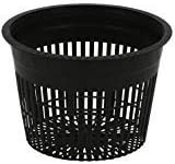 Net Pots 5 inch, Round, Heavy Duty, 1 Dozen