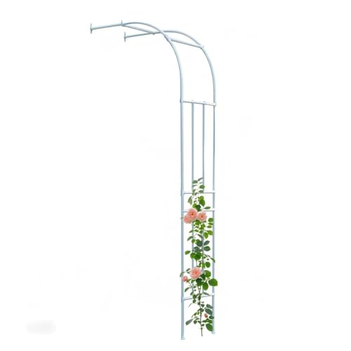 Arche de jardin contre mur treillis en métal H 240 cm x 120 cm de large robuste plante grimpante blanche décoration murale pour garage et terrasse design demi-arc
