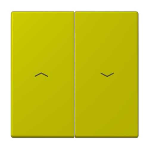 Touche double symbole volets LC4320F JUNG LC995P249 commande store interrupteur