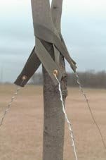 Galvanized Wire - 12 Gauge