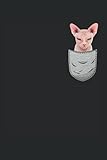 Angry Sphynx Haarlose Katze sitzt in der Tasche: DIN A5 Kariert 120 Seiten / 60 Blätter Notizbuch Notizheft Notiz-Block Sphynx Katzen Motive für Katzenliebhaber