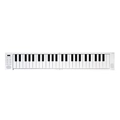 TSTS Piano électrique Pliable 49-Touche Piano Électronique Piano Piano Numérique Piano Portable Clavier Électronique… - Les Beatles, Paul McCartney, John Lennon, RIngo Starr, George Harrison
