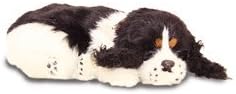 Precious Petzzz - Cocker Spaniel