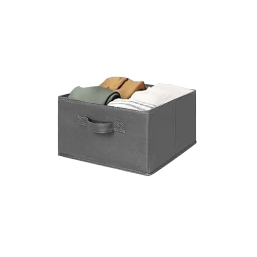 Image of MAX Houser 2 Drawer Hanging Closet Storage Organizer, Dark Grey | For Socks, Underwear & Sweaters, Space Saving Vertical Storage for Bedroom Wardrobe, Sturdy Breathable Fabric Construction