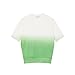 Lacoste Women's Ombre Effect Short Sleeve Top, Green/Flour, 0