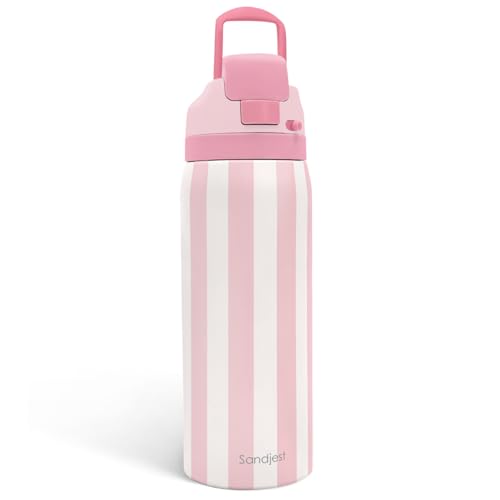 Image of Stripe Insulated Stainless Steel Water Bottle with Straw, Push-Button Lid, 32 Ounce, Gifts for Women Girls Friends Teens Birthday Christmas (Pink)