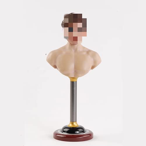 Amazon.co.jp: 【Tbmodel 】ACGTOYS 1/6 フィギュア 男性 バスト
