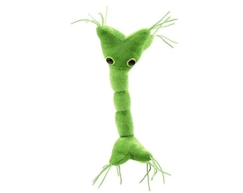 GIANT MICROBES Brain Cell Plush, Neuron Plush, Neuroscience Gift, Neurology, Science Plushies, Neuron Model Anatomy, Psychology Gifts, Psychology Graduation Gifts, Brain, TBI, Mental Health Awareness
