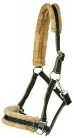 Ensemble Licol Et Longe Pour Cheval Horka Equestrian Pro - Bleu - Full