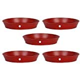 Digionics Plant Saucer Base Plate Planter Tray 8 inch(Set of 10) (B081TDP65N) Amazon Price History, Amazon Price Tracker