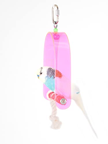 Penn-Plax Bird Life Cement & Acrylic Swing – Great For Parakeets, Lovebirds, Parrotlets, Canaries, Finches, And Other Small Birds – Small – Assorted Colors #TOP2