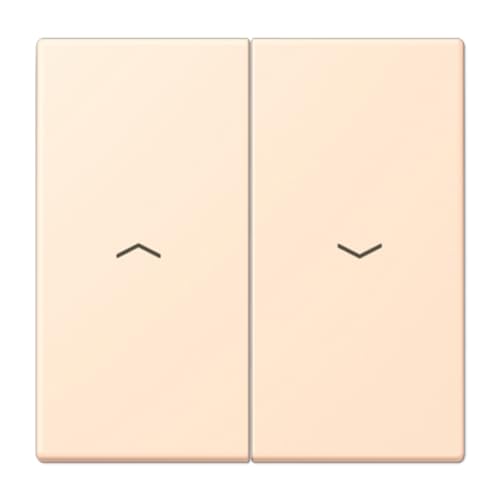 Touche double symbole volets LC32123 JUNG LC995P238 aux finitions haut de gamme