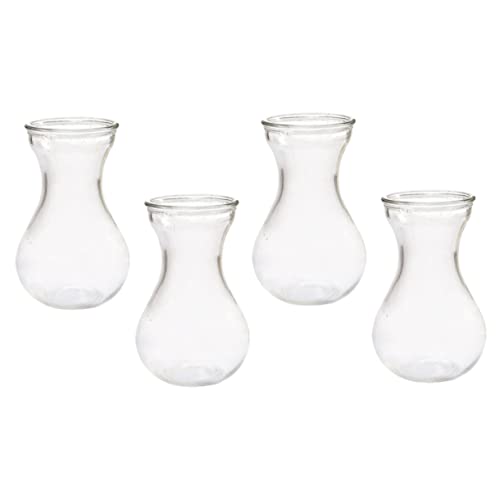 Garneck 4 Pièces Vase en Jacinthe Pot De Fleur Sec Vase Décoratif Clair s D'Avocat Bouteilles Claires Décorations De Bureau s De Mariage Planteur De Plantes Décoration De À