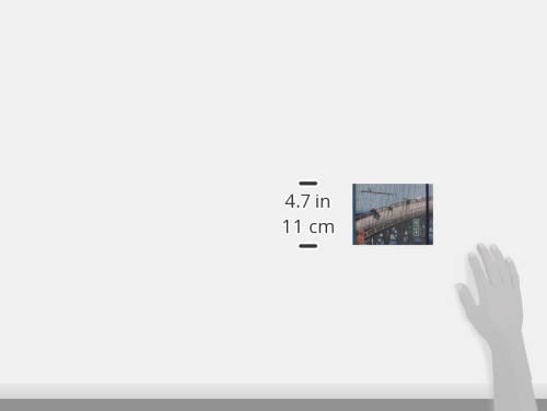 kabiごん♡♡ Custom made for Konishi prescription Rx eyeglasses: Konishi