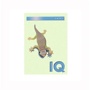 iƖpZbgj ɓ oCIgbvJ[ A4 500 80g^m2 BT505 O[ y×2Zbgz