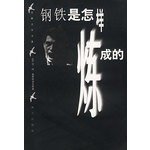 How the Steel Was Tempered 7806153810 Book Cover
