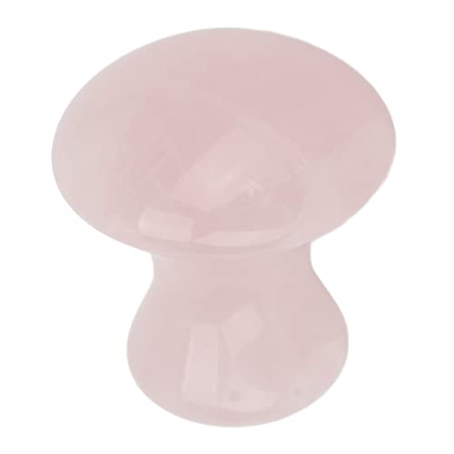 Pedra de Placa Sha, Pedra de Raspagem Em Formato de Cogumelo Translúcido Alivia o Estresse Portátil