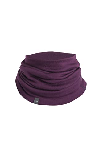 Icebreaker Merino Adult Apex Chute/Nightshade