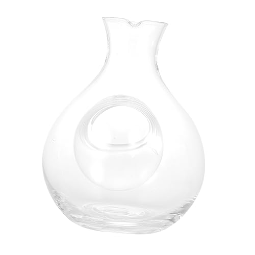 HOLIDYOYO Elegant Glass Wine Decanter with Ice Separator for Home Use Fast Wine Aerator Enhancing Flavor and Presentation for Entertaining Guests
