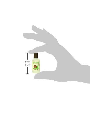 Little Twig All Natural, Hypoallergenic, Extra Mild Baby Wash For Sensitive Skin, Unscented, 2 Ounce Bottle #TOP5