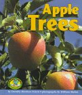 Hardcover Apple Trees Book