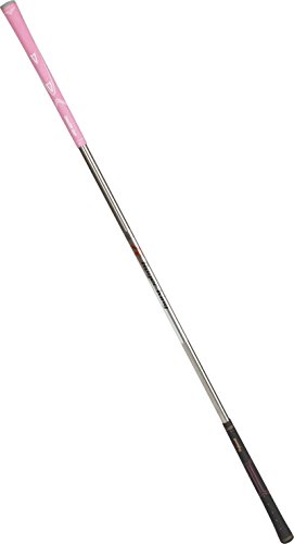 広田ゴルフ ロジャーキング パワーヒッター2 スティック (メンズ) 広田ゴルフ ロジャーキング パワーヒッター2 スティック (メンズ)