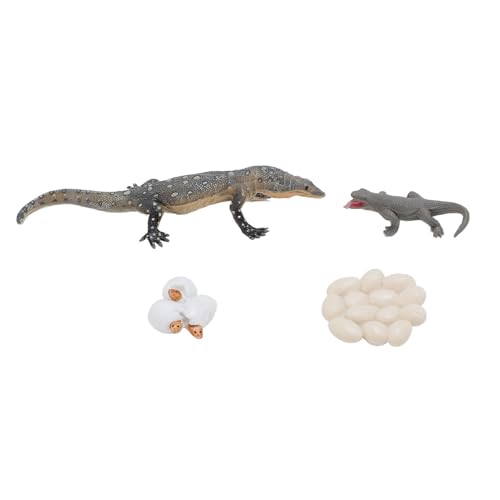 LjwZekyrnt 4 Piezas Lagarto Ciclo de Vida Juguete PVC Realista Educativo Reptil Animal Crecimiento Ciclo Juguete