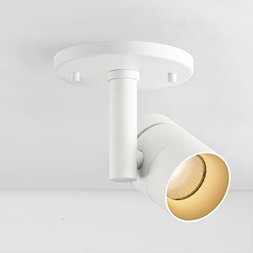 Vidalite Modern Led Surface Monopoint Sconce, 360° Rotatable Flush Mount Spot Light Head Dimmable 3000K 1370 Lumens,For Bookshelf, Art, Bedside, White #TOP6