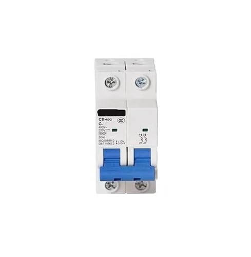 Interrupteur d'air 100A 2P pour sécuriser l'alimentation de votre borne de recharge de voiture