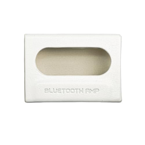 FIIO SK-RETRONANO White FIO-SK-SSRNANO-W�y���{���K�X��蔭���z��p�P�[�X �h�� PU���U�[