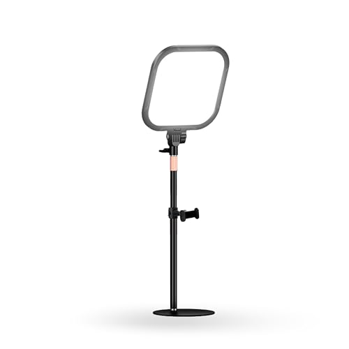 Image of Futopia Soft 25cm (10 Inch) Fill LED Ring Light Desk Lamp with Stand | 3 Adjustable Color Temperature Lighting | USB Used Perfect for Meetings & Live Streaming, Photo & Video Shoot, Instagram Reels