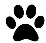 Loyalty Card Self Inking Stamp - Paw Print