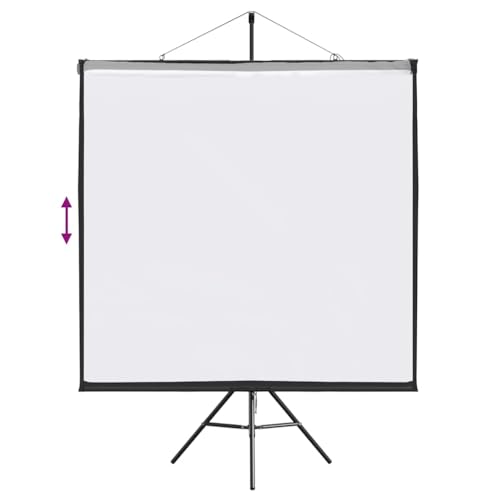 Écran de projection portable pour home cinéma pliable et mobile 72"