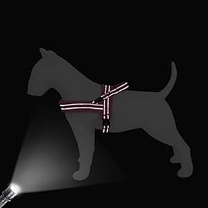 Didog No Pull Dog Harness with Soft Flannel Padded,Reflective & Quick Fit Light Weight Dog Strap Vest Harness,Easy for Walking Training for Small & Medium and Large Dogs(Pink,XS) Didog No Pull Dog Harness with Soft Flannel PaddedReflective Quick Fit Light Weight Dog Strap Vest HarnessEasy for Walking Training for Small Medium and Large DogsPinkXS