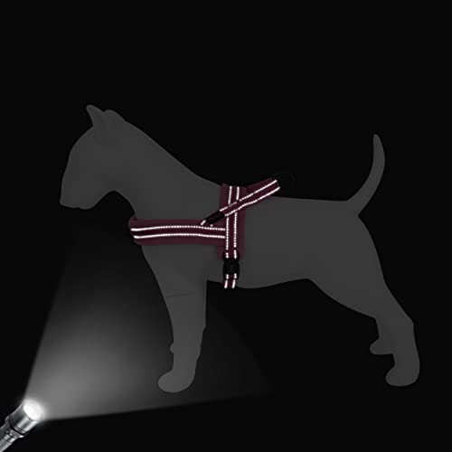 Didog-No-Pull-Dog-Harness-with-Soft-Flannel-PaddedReflective-Quick-Fit-Light-Weight-Dog-Strap-Vest-HarnessEasy-for-Walking-Training-for-Small-Medium-and-Large-DogsPinkXS Didog No Pull Dog Harness with Soft Flannel PaddedReflective Quick Fit Light Weight Dog Strap Vest HarnessEasy for Walking Training for Small Medium and Large DogsPinkXS