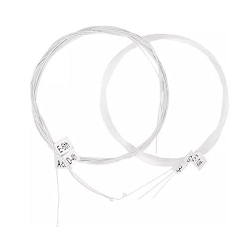 Jeu de Cordes de Guitare Classique, Remplacement de Cordes de Guitare en Nylon de Calibre 28 à 43 pour Guitare Classique - Les Beatles, Paul McCartney, John Lennon, RIngo Starr, George Harrison Jeu de Cordes de Guitare Classique, Remplacement de Cordes de Guitare en Nylon de Calibre 28 à 43 pour Guitare Classique