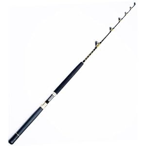 COMPOSIT 160-200LB The Big Nasty Saltwater Big Game Roller Rod