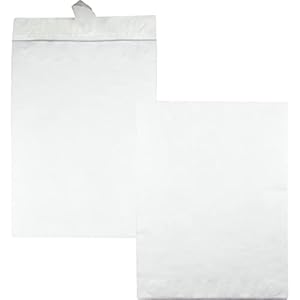 QualityPark Tyvek Open Side Envelope, 10 x 13 x 2 Inches (Pack of 25) (R4611)