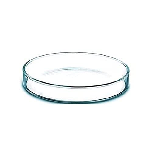 Z Glass High Quality Borosilicate Glass Petri dish - (100MM, 1)