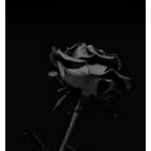 『Mi$fiTz RcVr ToO』のカバーアート