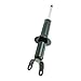 EIOFEVY Shocks Struts Absorber Gas Lift Struts Amortiguador Suspension Shock Absorber Strut Front Left Driver Right Passenger Upper Lower Side Cast Metal 4WD SBA60819